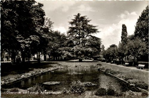 Oberursel - Alleeanlagen