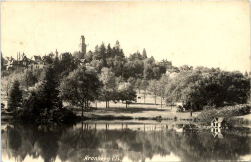 Kronburg im Taunus