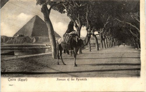 Cairo - Avenue ot the Pyramids