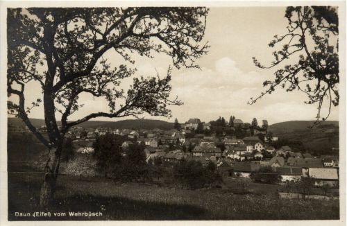 Daun - vom Wehrbüsch
