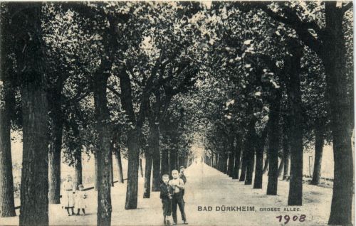 Bad Dürkheim - Grosse Allee