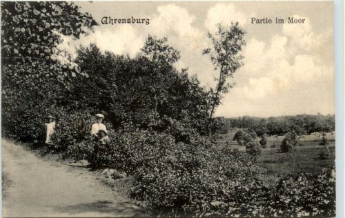 Ahrensburg - Partie im Moor