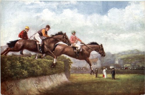Reitsport