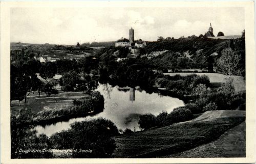Saaleck/Sachsen-Anhalt - Burgruine Schönburg a.d. Saale