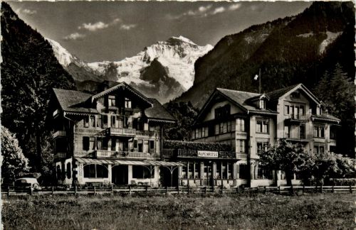 Wilderswil - Hotel Alpenrose