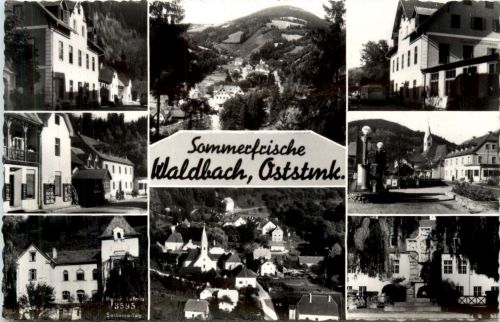 Steiermark/div. Orte - Sommerfrische Waldbach. div. Bilder