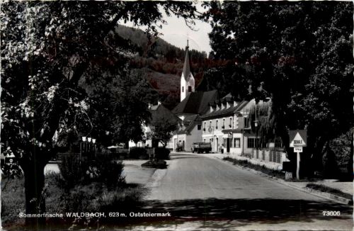 Steiermark/div. Orte - Sommerfrische Waldbach.