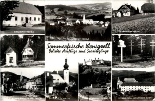 Steiermark/div. Orte - Sommerfrische Wenigzell, div. Bilder