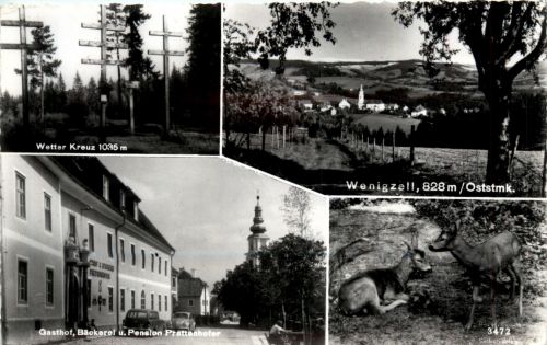 Steiermark/div. Orte - Sommerfrische Wenigzell, div.Bilder