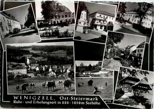 Steiermark/div. Orte - Sommerfrische Wenigzell, div.Bilder