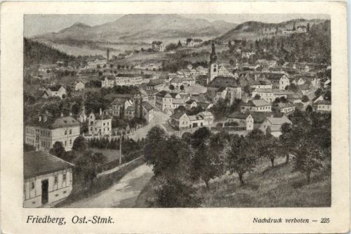 Steiermark/div. Orte - Sommerfrische Friedberg am Wechsel,