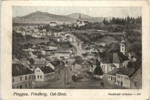 Steiermark/div. Orte - Sommerfrische Friedberg am Wechsel, Pinggau