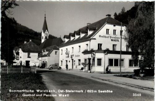Steiermark/div. Orte - Sommerfrische Waldbach, Gasthof und Pension Wastl