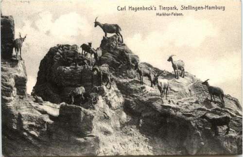 Hamburg - Stellingen - Carl Hagenbecks Tierpark