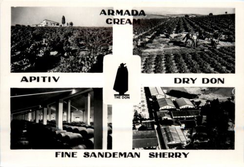 Jerez de la Frontera - Fine Sandman Sherry