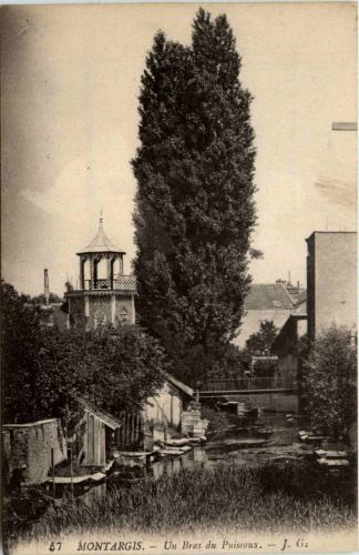 Montargis - Un Bras du Puiseaux - Loiret