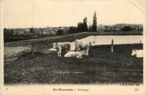 En Nievernais - Paturages - Nievre - 58