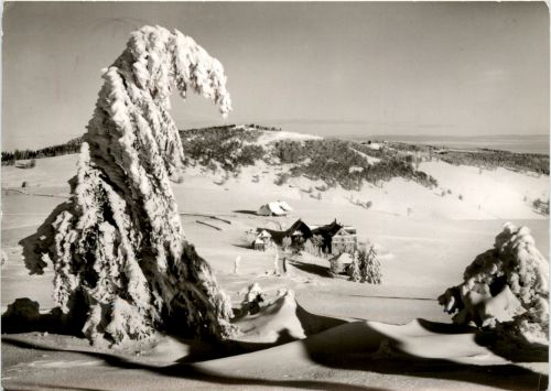 Ba-Wü/Schwarzwald/Freiburg/div.Orte und Umgebung - Hotel Haldenhof am Schauinsland bei Freiburg