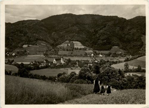 Ba-Wü/Schwarzwald/Freiburg/div.Orte und Umgebung - Blick vom Silbergrübli ins Glottertal