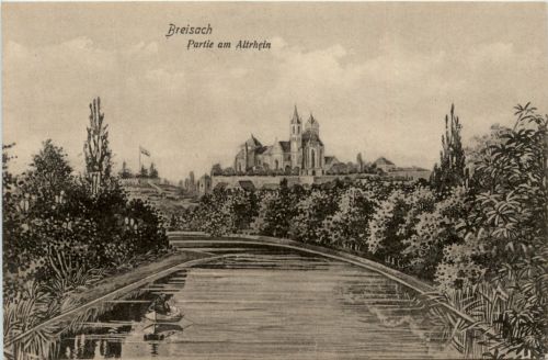 Ba-Wü/ Breisach - Partie am Altrhein