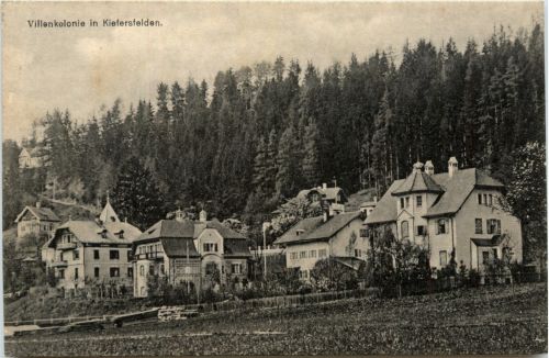 Bayern/Oberpfalz/div.Orte und Umgebung - Villenkolonie in Kiefersfelden