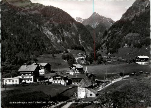 Osttirol, Sommerfrische Hinterbichl gegen Gross-Schober