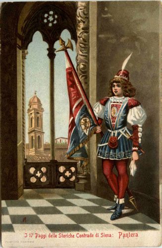 Paggi delle Storiche Contrade di Siena - Pantera