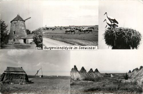 Burgenlandidylle im Seewinkel