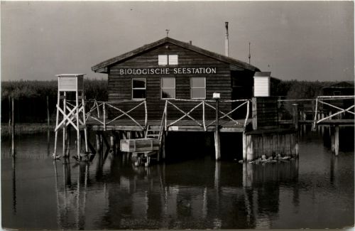 Seebad Neusiedl am See,