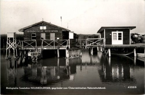 Seebad Neusiedl am See, Biologische Seestation