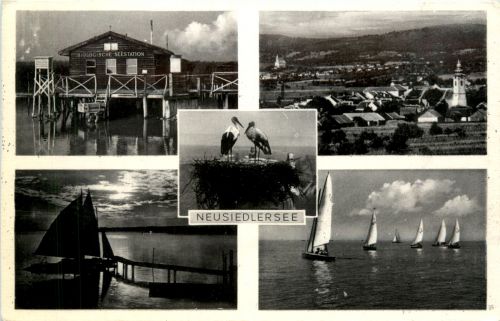 Neusiedlersee, div.Bilder