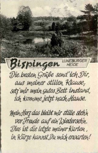 Bispingen - Luhe Teiche