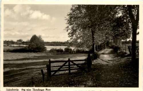 Süderbrarup - Weg zum Thorsberger Moor