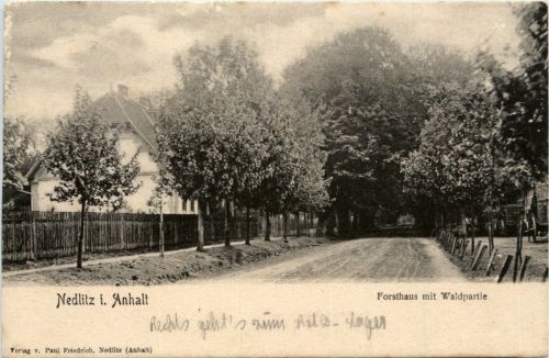 Nedlitz in Anhalt - Forsthaus mit Waldpartie