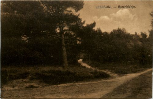 Leersum - Boschkiekje