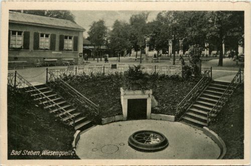 Bad Steben, Wiesenquelle