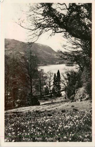 Rydal - Doras Field