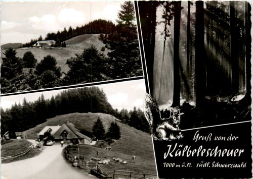 Münstertal - Almgaststätte Kälbelescheuer