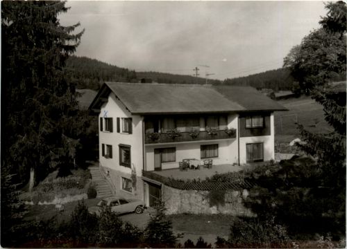 Schluchsee - Haus Franz