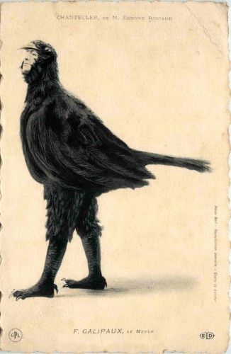 Chantecler de M. Edmond Rostand