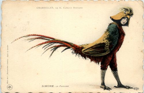 Chantecler de M. Edmond Rostand