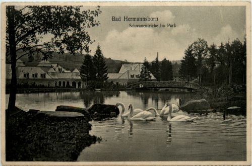 Bad Hermannsborn, Schwanenteiche im Park