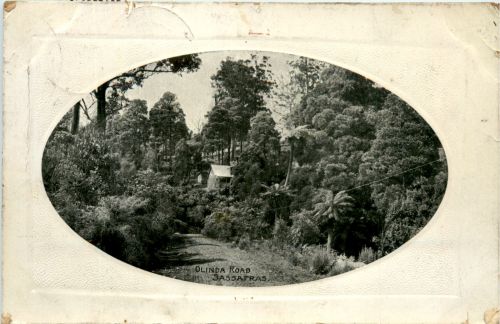 Sassafras - Olinda Road