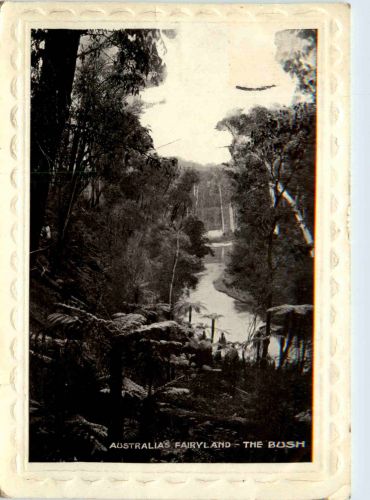 Australia Fairyland - The Bush