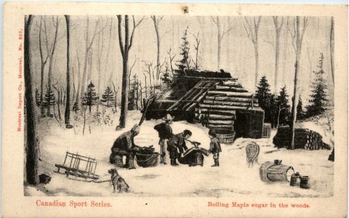 Boiling Maple sugar in the woods - Canada