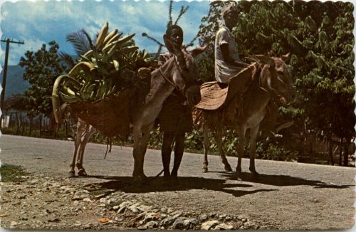 Leogane Haiti