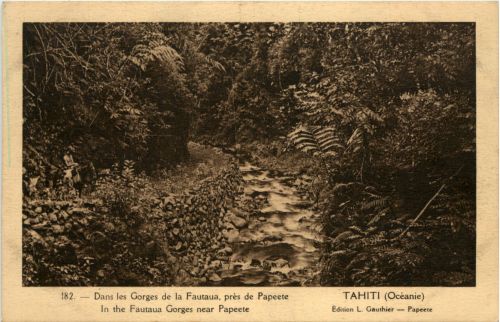 Tahiti - Gorges de la Fautaua