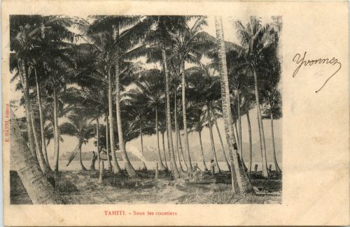 Tahiti - Sous les cocotiers