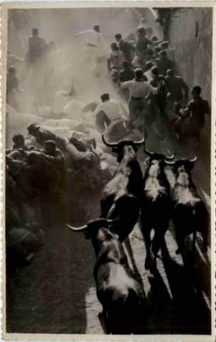 Pamplona - Toros