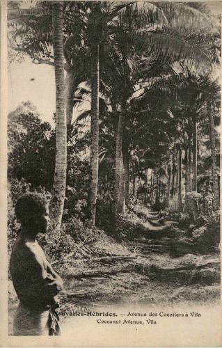 Vanuatu - Nouvelles-Hebrides - Avenue des Cocotiers a Vila